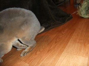 th_DSCF2730.jpg