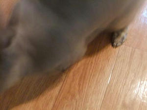 th_DSCF2824.jpg