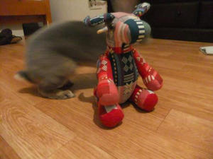 th_DSCF3039.jpg