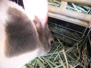 th_DSCF3124.jpg