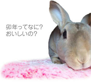 th_chu101215.jpg