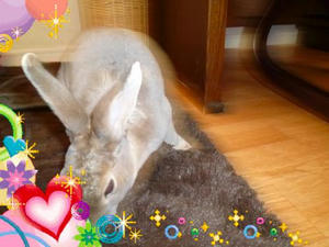 th_P1000064.jpg