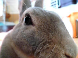 th_P1000078.jpg