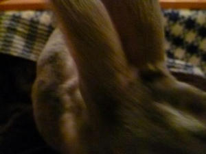 th_P1010026.jpg