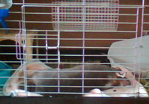 110513_1.jpg