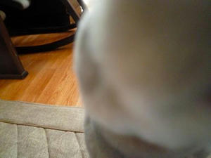 th_P1010729.jpg