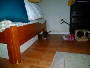 th_P1020105.jpg