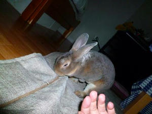 th_P1020113.jpg