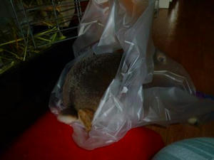 th_P1020121.jpg