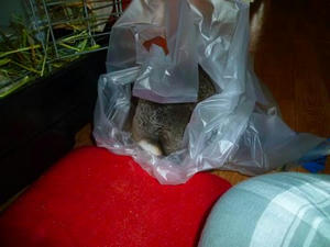 th_P1020122.jpg