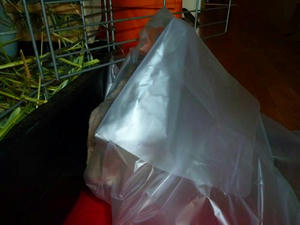 th_P1020125.jpg