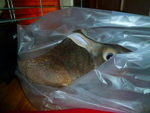 th_P1020127.jpg
