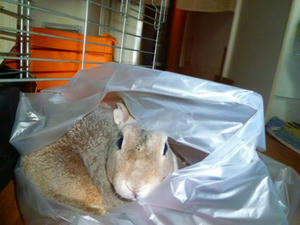 th_P1020128.jpg