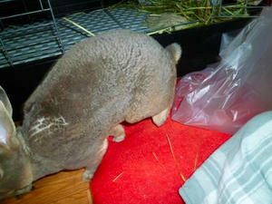 th_P1020129.jpg