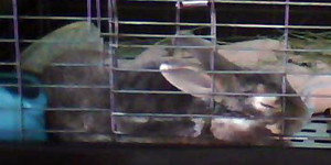 c49459d6.png