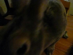 th_P1030485.jpg