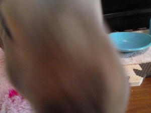 th_P1050073.jpg