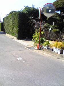 f617577d.jpg