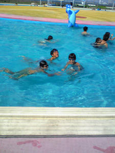 0666102d.jpg
