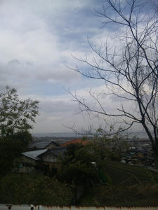 100402_143223.jpg