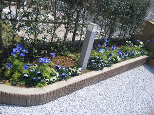 100426_122816.jpg