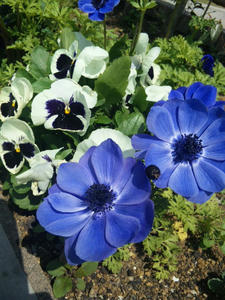 100426_122905.jpg