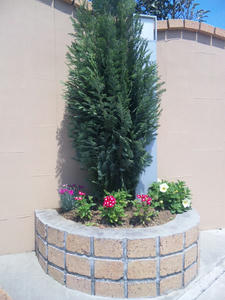 100426_122951.jpg