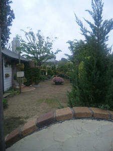 100510_144630.jpg