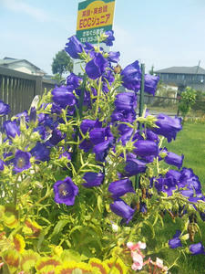 100525_095628.jpg