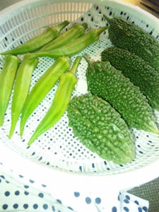 100731_180603.jpg