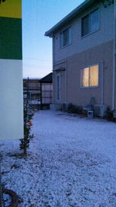 110131_062146.jpg