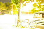 0909_hikari
