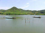 広沢池