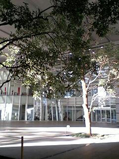 430324d8jpeg