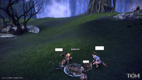 TERA_ScreenShot_20110702_224158.jpg