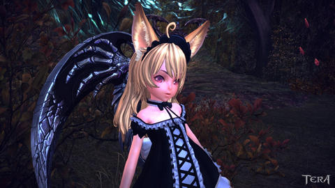 TERA_ScreenShot_20130103_103714.jpg