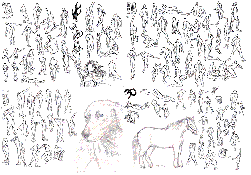 080106-1_2.gif