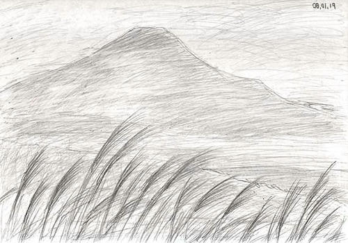 080120-c3.jpg