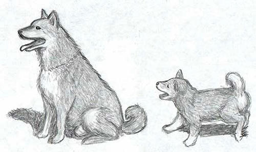 080122-d.jpg
