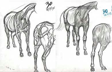 080126-h.jpg