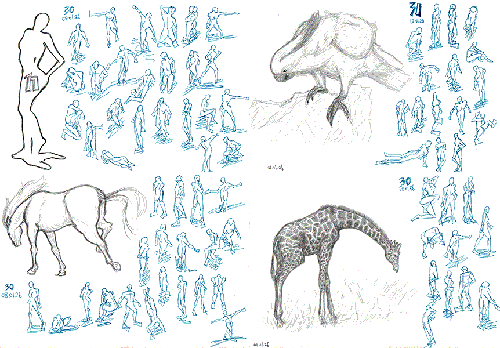 080127-2_2.gif