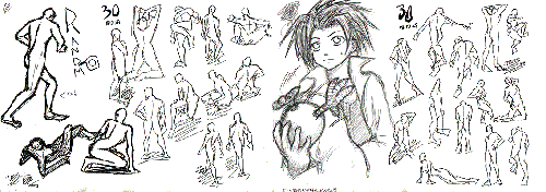 080129-1_2.gif