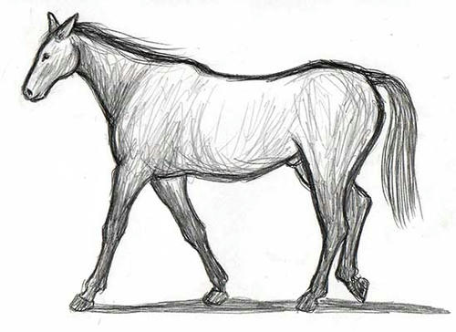 080129-h.jpg