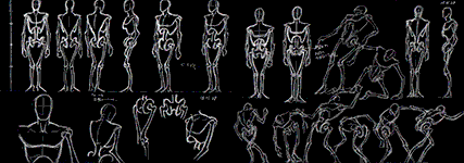 080129-jin_2.gif
