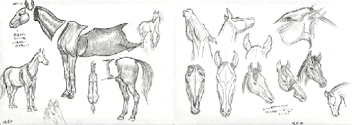 080131-c1_2.gif