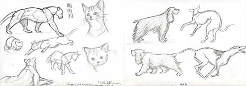 080131-c2.jpg