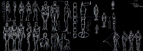080204-jin_2.gif