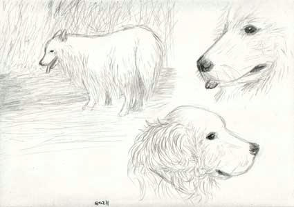 080212-c1-2.jpg