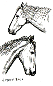 080220-c1_2.gif
