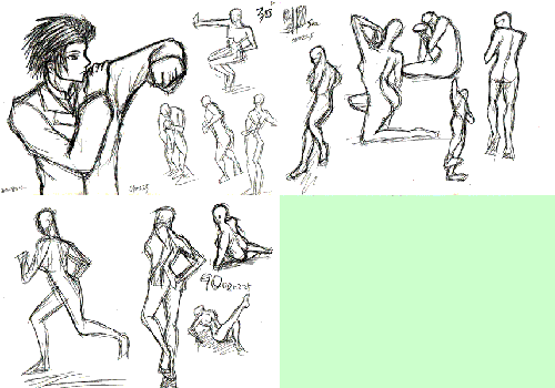 080226-2_2.gif